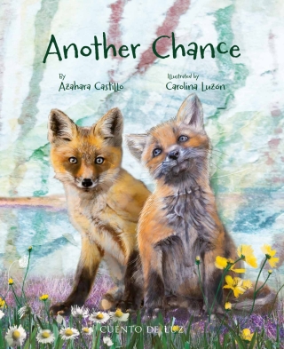 Imagen de portada: Another Chance 9788419464781