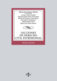 Imagen de portada: Lecciones de Derecho Civil Patrimonial 1st edition 9788430985869