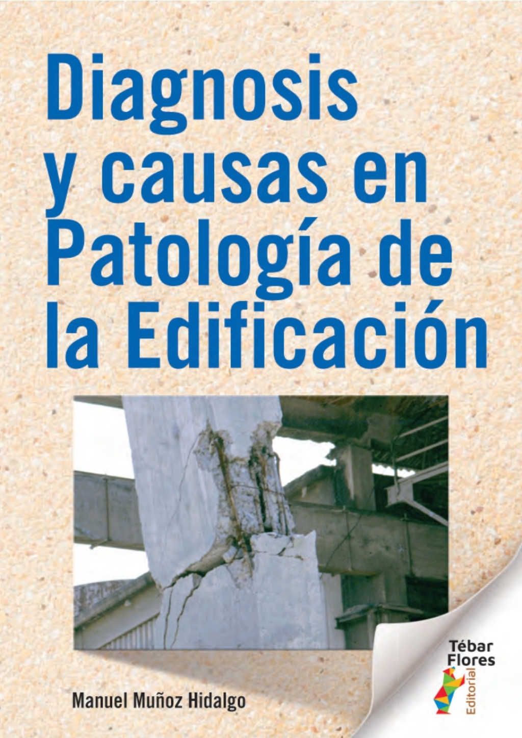 Diagnosis y causas en patologia de la edificacion 1st Edition