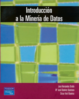 Imagen de portada: INTRODUCCION A LA MINERIA DE DATOS 1st edition 9788420540917