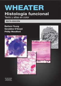 Omslagafbeelding: Wheater. Histología funcional 6th edition 9788490226889