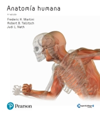 Imagen de portada: Anatomía humana 9th edition 9788490355640