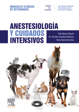 Imagen de portada: Anestesiología y cuidados intensivos 9788491133544