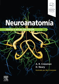 Titelbild: Neuroanatomía. Texto y atlas en color 6th edition 9788491135708