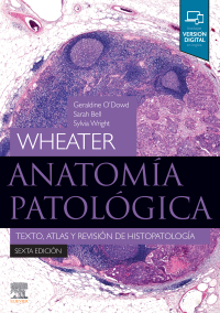 Omslagafbeelding: Wheater. Anatomía patológica 6th edition 9788491137467