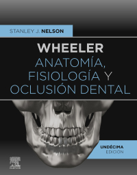 Omslagafbeelding: Wheeler. Anatomía, fisiología y oclusión dental 11th edition 9788491138068