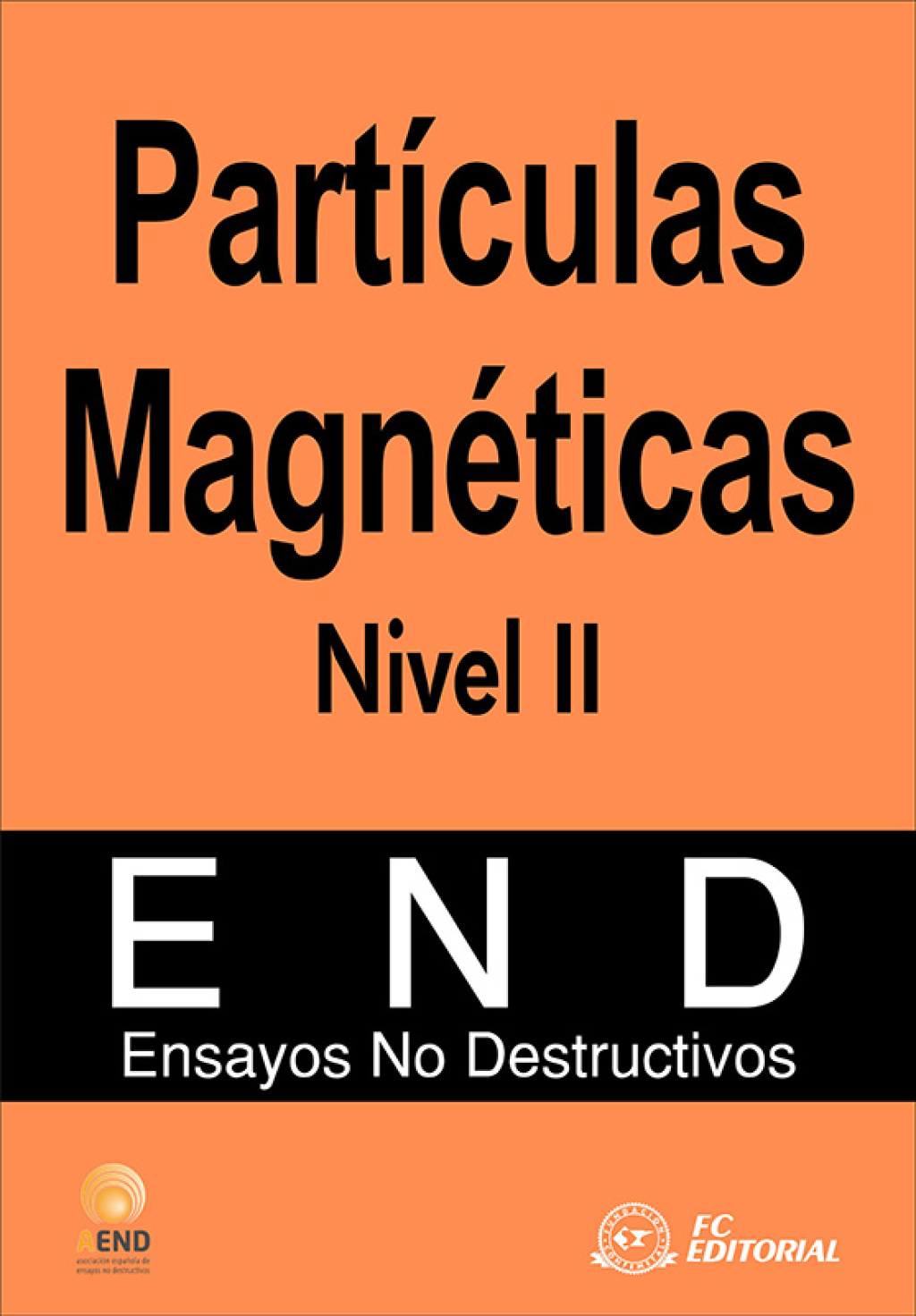 Partículas Magnéticas. Nivel II 1st Edition