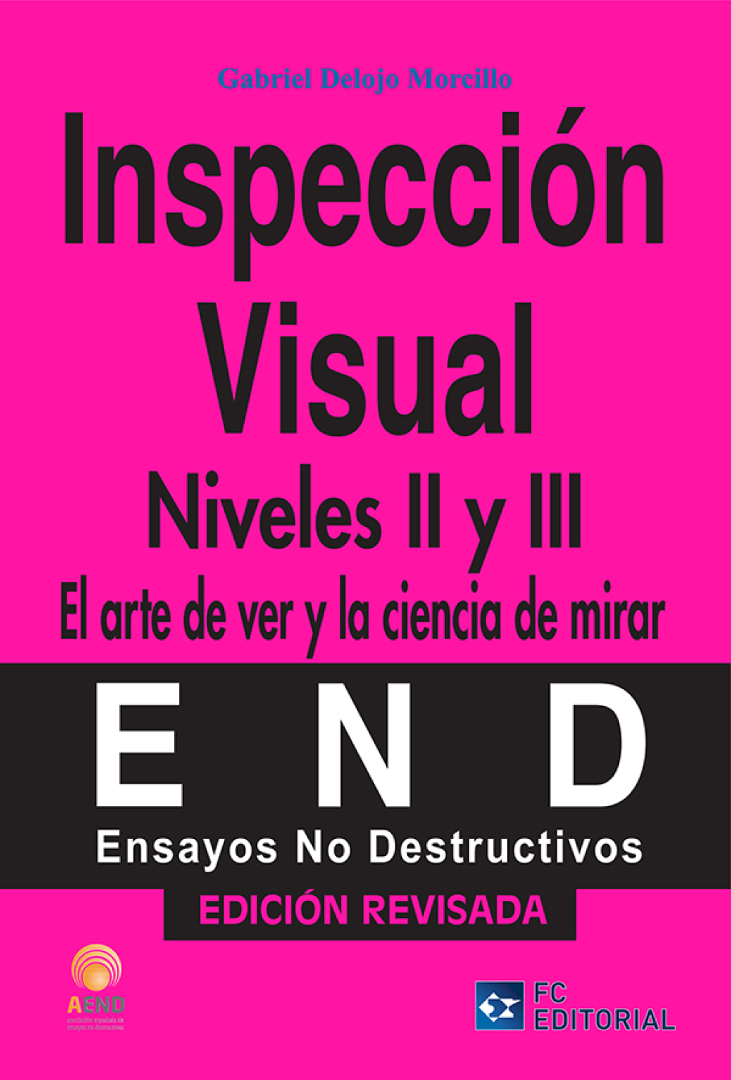 Inspección visual. Niveles II y III 1st Edition