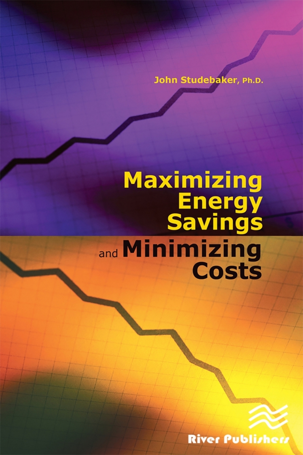 Maximizing Energy Savings and Minimizing Energy Costs 1st Edition