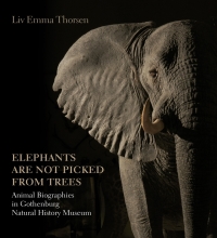 Imagen de portada: Elephants Are Not Picked from Trees 1st edition 9788771242126