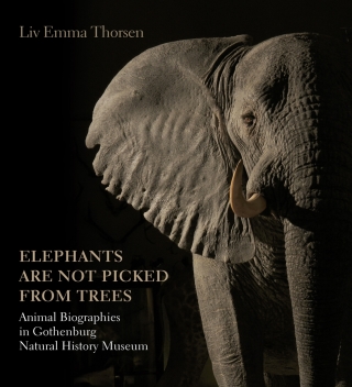Imagen de portada: Elephants are not picked from trees 1st edition 9788771242126