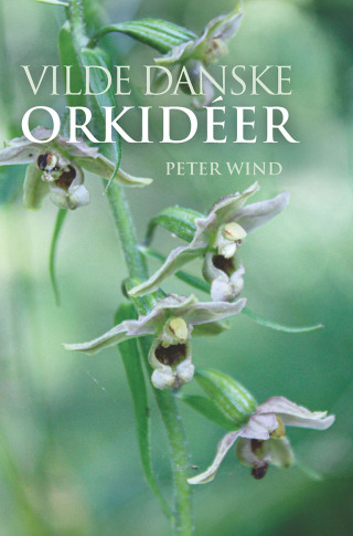 Cover image: Vilde danske orkidéer 9788771843170