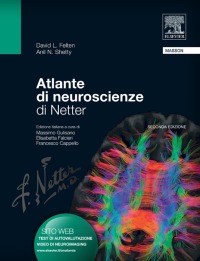 Titelbild: Atlante di neuroscienze di Netter 2nd edition 9788821431777