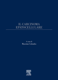 Cover image: Il carcinoma epatocellulare 9788821431937