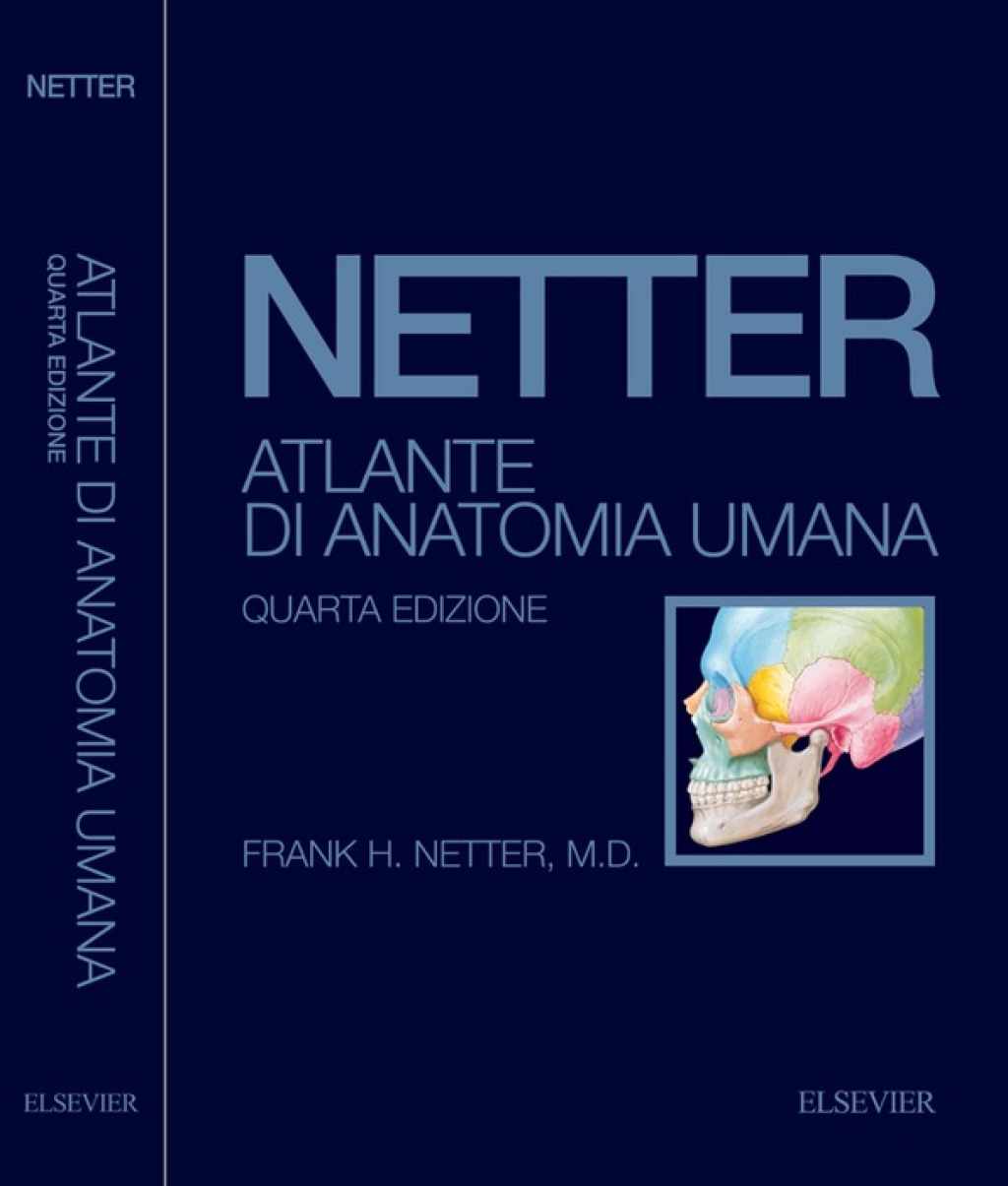 Atlante di anatomia umana 4th Edition
