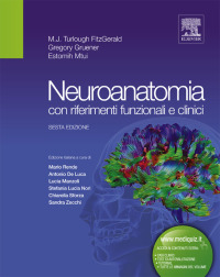 Cover image: Neuroanatomia 6th edition 9788821432712