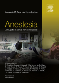 Cover image: Anestesia 9788821430831