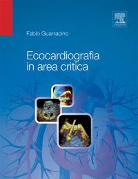 Cover image: Ecocardiografia in area critica 9788821429637