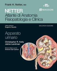 Titelbild: Netter Atlante di anatomia fisiopatologia e clinica 2nd edition 9788821431494