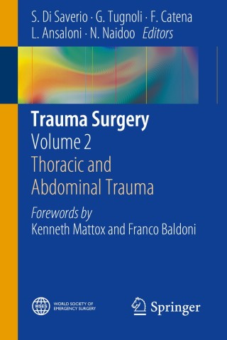 Imagen de portada: Trauma Surgery 9788847054585