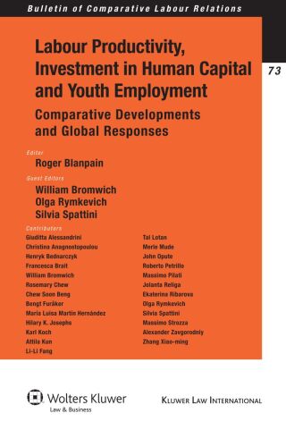 Cover image: Labour Productivity, Investment in Human Capital and Youth Employment 1st edition 9789041132499