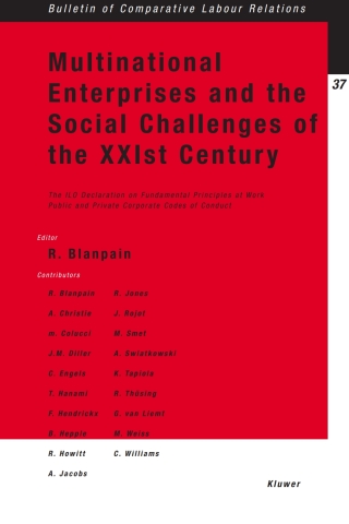 表紙画像: The Council of Europe and the Social Challenges of the XXIst Century 1st edition 9789041115430