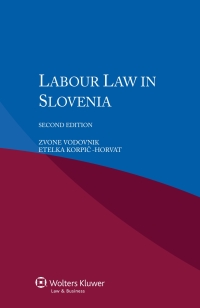 表紙画像: Labour Law in Slovenia 2nd edition 9789041162328