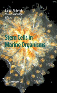 Cover image: Stem Cells in Marine Organisms 1st edition 9789048127665