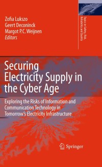 Imagen de portada: Securing Electricity Supply in the Cyber Age 1st edition 9789048135943