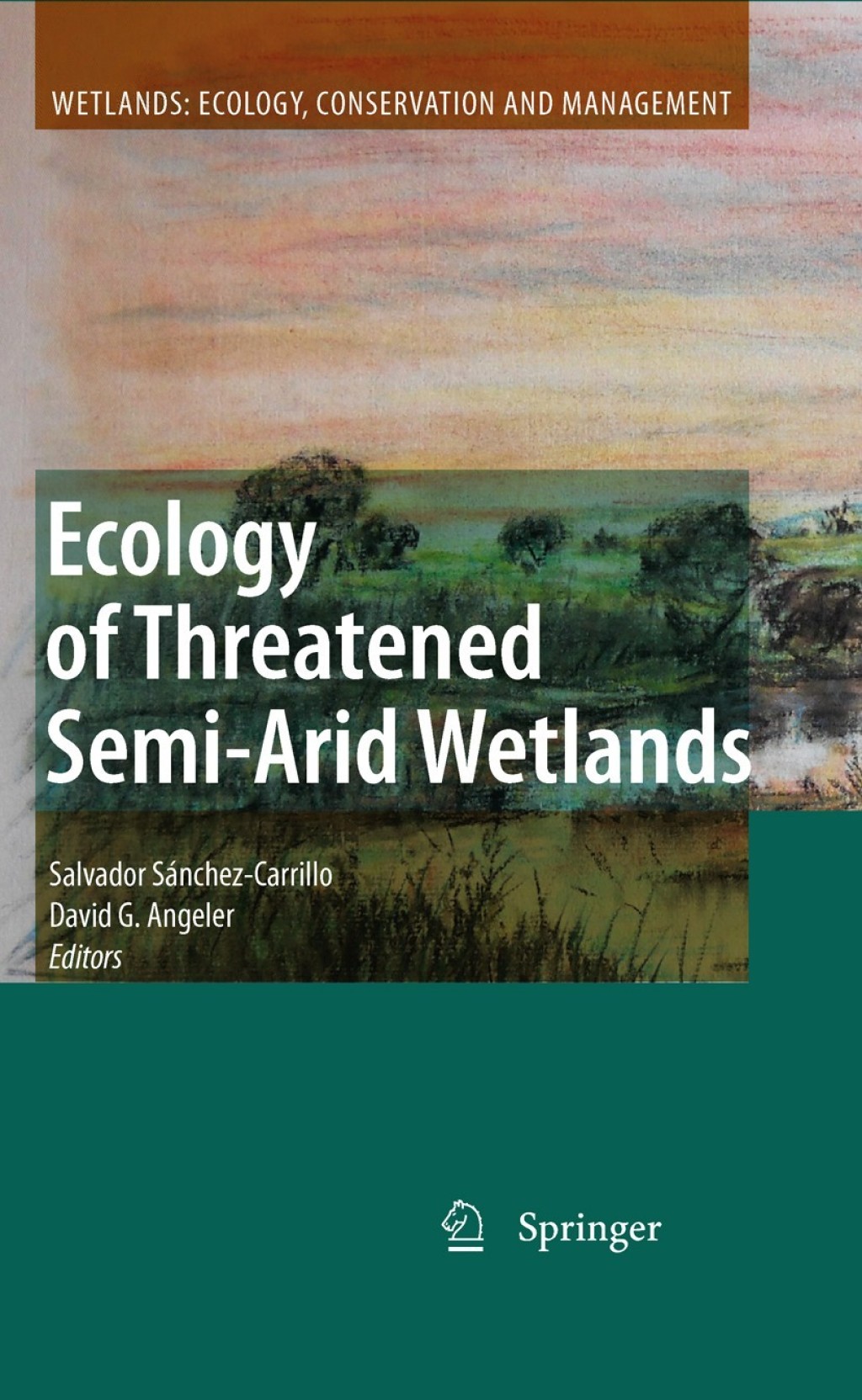 Ecology of Threatened Semi-Arid Wetlands Long-Term Research in Las Tablas de Daimiel 1st Edition