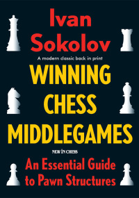 表紙画像: Winning Chess Middlegames 9789056917500