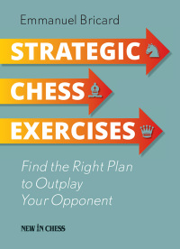 表紙画像: Strategic Chess Exercises 9789056917609