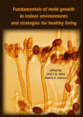 Imagen de portada: Fundamentals of mold growth in indoor environments and strategies for healthy living 9789086867226