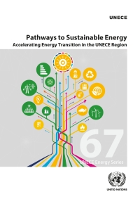 Imagen de portada: Pathways to Sustainable Energy 9789211172287