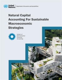 表紙画像: Natural Capital Accounting for Sustainable Macroeconomic Strategies 9789212591551