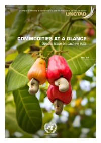 Cover image: Commodities at a Glance 9789210053839