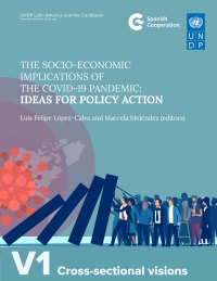 Cover image: The Socio-Economic Implications of the COVID-19 Pandemic 9789211264456