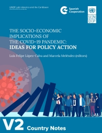 Imagen de portada: The Socio-Economic Implications of the COVID-19 Pandemic 9789211264463