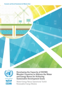 表紙画像: Developing the Capacity of ESCWA Member Countries to Address the Water and Energy Nexus for Achieving Sustainable Development Goals 9789210451970