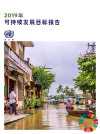 Imagen de portada: The Sustainable Development Goals Report 2019 (Chinese language) 9789210478915