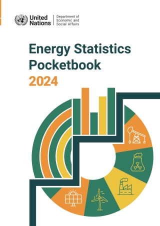 Cover image: Energy Statistics Pocketbook 2024 9789210030038
