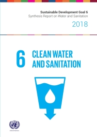 Cover image: SDG 6 Synthesis Report 2018 on Water and Sanitation 9789211013702