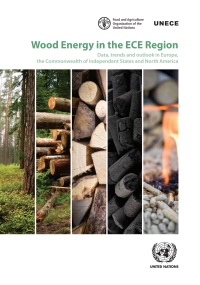 Imagen de portada: Wood Energy in the ECE Region 9789211171549