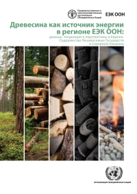 Cover image: Wood Energy in the ECE Region (Russian language) 9789213631119