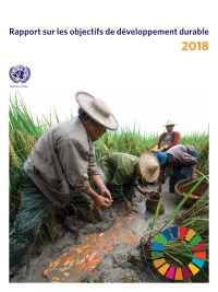 表紙画像: Rapport sur les objectifs de développement durable 2018 9789213633182