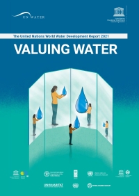 Imagen de portada: The United Nations World Water Development Report 2021 9789231004346