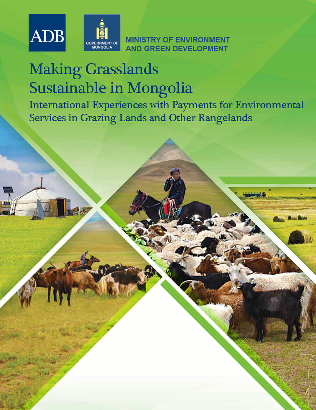 Making Grasslands Sustainable in Mongolia International Experiences with Payments for Environmental Services in Grazing Lands and Other Rangelands 1st Edition