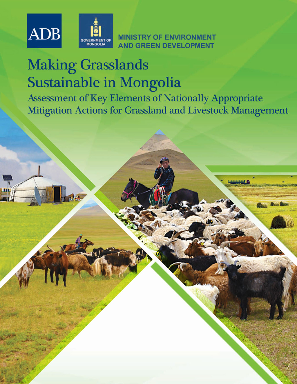 Making Grasslands Sustainable in Mongolia Assessment of Key Elements of Nationally Appropriate Mitigation Actions for Grassland and Livestock Management 1st Edition