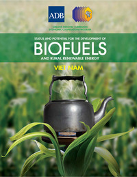 صورة الغلاف: Status and Potential for the Development of Biofuels and Rural Renewable Energy 1st edition 9789715618359