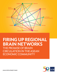 Omslagafbeelding: Firing Up Regional Brain Networks 9789292577315